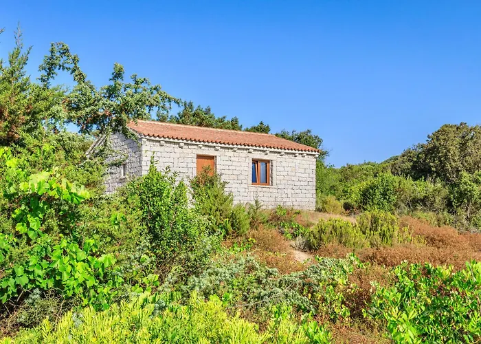 מלון דירות Surrounded By Greenery With Swimming Pool In Just 300 Meters From The Sea