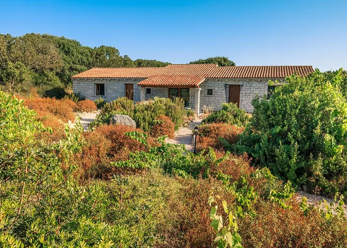 Surrounded By Greenery With Swimming Pool In Just 300 Meters From The Sea